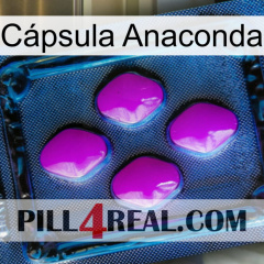 Cápsula Anaconda 04